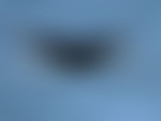 Whale Watching & NYC Skyline Sunset Cruises Debuting on Seastreak Ferry