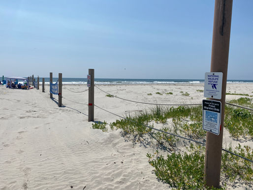 Stay Away! Only SJ Beach that's Off Limits. Two Beautiful Miles You Have To Return in Fall to See