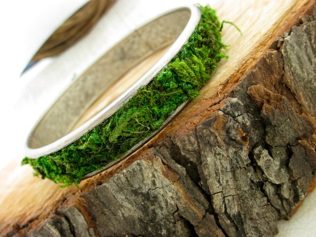 Mik's Moss