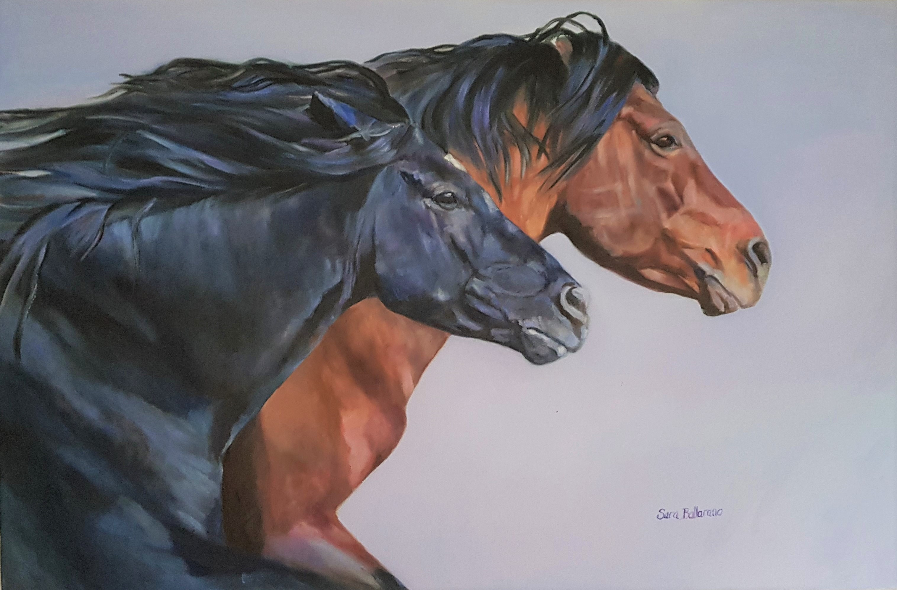 Neck and Neck