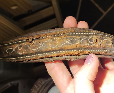 1000016493_129c8cef0ca9ea0635ba3caa420c1