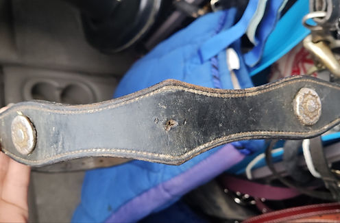 1000016476_815d2288b1e732e972f2a0c77171da9f-18_09_2023 15_29_41.jpg