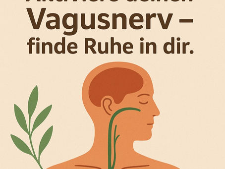 Der Vagusnerv – Schlüssel zur inneren Balance
