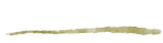 LINE ABOUT.png