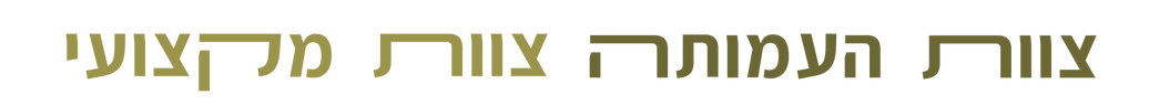ASSISTANT FONT_צוות מקצועי.png