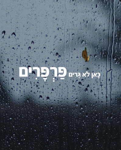 כאן לא גרים פרפרים יום ההשראה הבינלאומי.gif