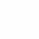 Dog print background WHITE.png