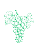 Untitled design-78.png