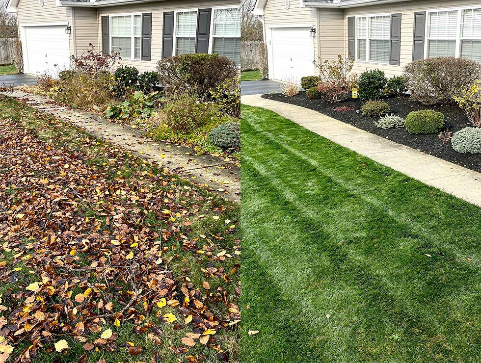 Your Ultimate Spring Cleanup Checklist for a Long Island Yard