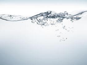 Environmental Risks: Water Risk Management (WRM)
