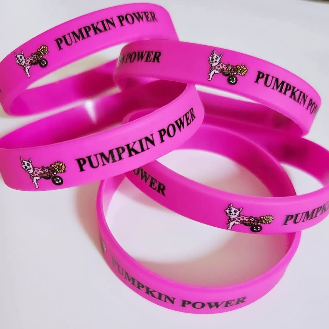 Pumpkin Power wristbands 
