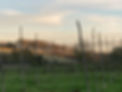 9DE05134-C885-4AB5-AB9C-2B58C0078FD5.jpeg