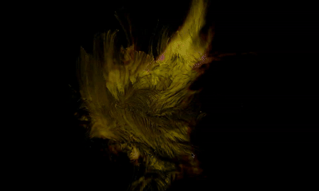 Cognitive Entanglement: An Iterative Exploration of Perception, Story-telling, and Co-creation.