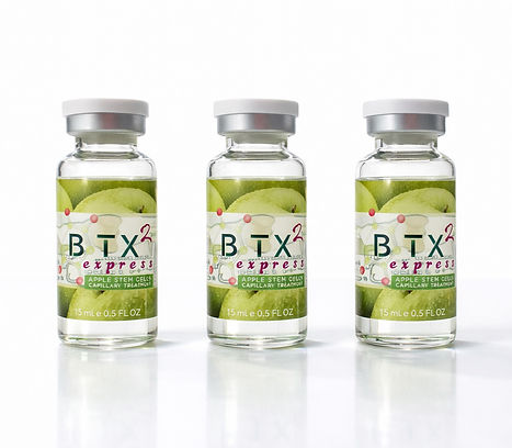 carrusell btx express 1.JPG
