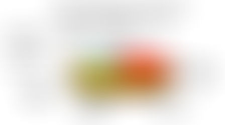 Primary Reasons For Abortions