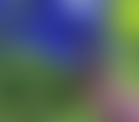 My Nurdle Mapping Experience: The Summer I Spent Digging in the Dirt for the Environment