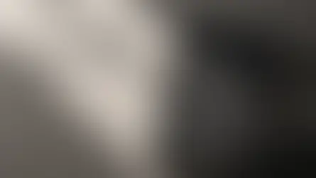 Der Baubeschrieb – Präzision statt Prosa