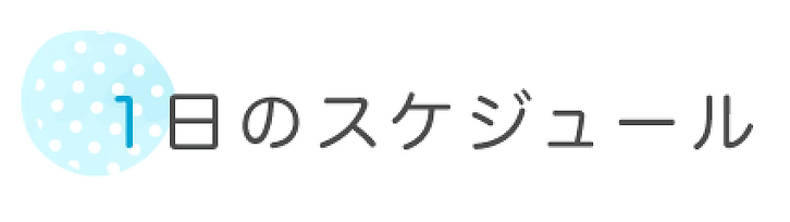 1日のスケジュール.webp