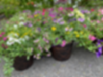 12" Terra Cotta Planter