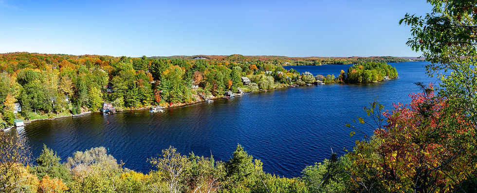 Colourful trees surrounding Lake Muskoka