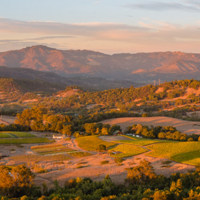 Sunset view of rolling hills and vineyards with a backdrop of distant mountains, bathed in warm golden light, creating a serene atmosphere.