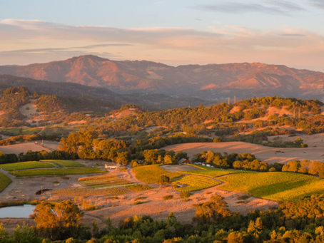 Sunset view of rolling hills and vineyards with a backdrop of distant mountains, bathed in warm golden light, creating a serene atmosphere.