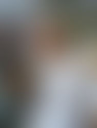 VIP SOKAK HAYVANLARI