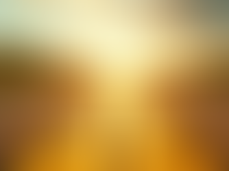 The Wizard of Oz: Fact or Fabrication?