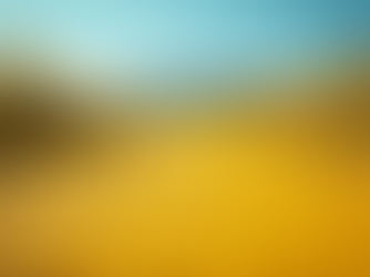 Judy Garland: A Character Behind the Curtain