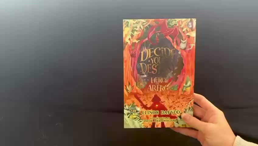 Thumbnail: Decide Your Destiny: Hero of Arfro