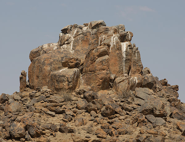 Eagle Verreaux nest site_Sept_2021_9Z4A0552 copy