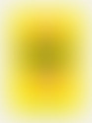 Mind Over Mood by Dennis Greenberger & Christine A. Padesky