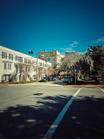 A Winter Day In Savannah