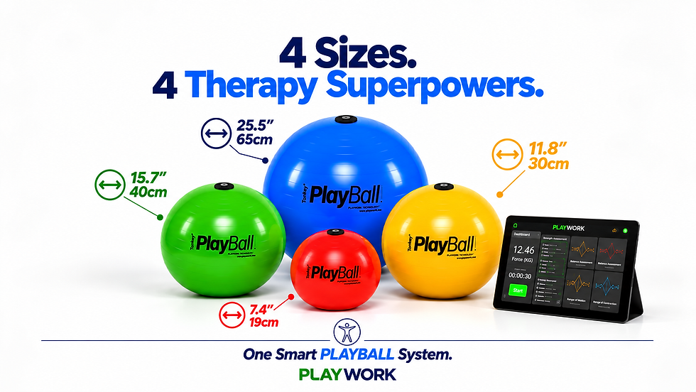One Smart PLAYBALL System. Four Sizes. Endless Rehabilitation Possibilities.
