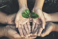 AdobeStock_317191601.jpeg