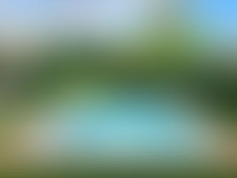 It is Amazing How Quickly Gardens Grow here in Merida