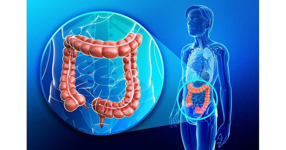INTESTINO001