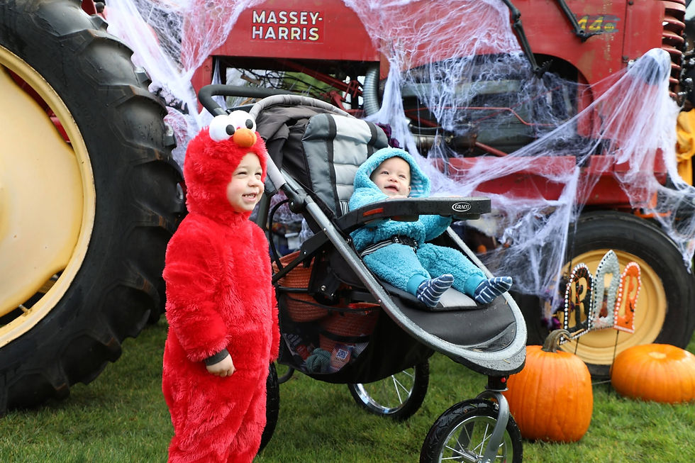 Halloween Harvest Festival & Trunk-or-Treat