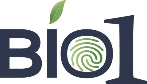 Rocket Estudio Creativo, diseño gráfico en Ecuador, agencia creativa Quito, marketing digital Ecuador.