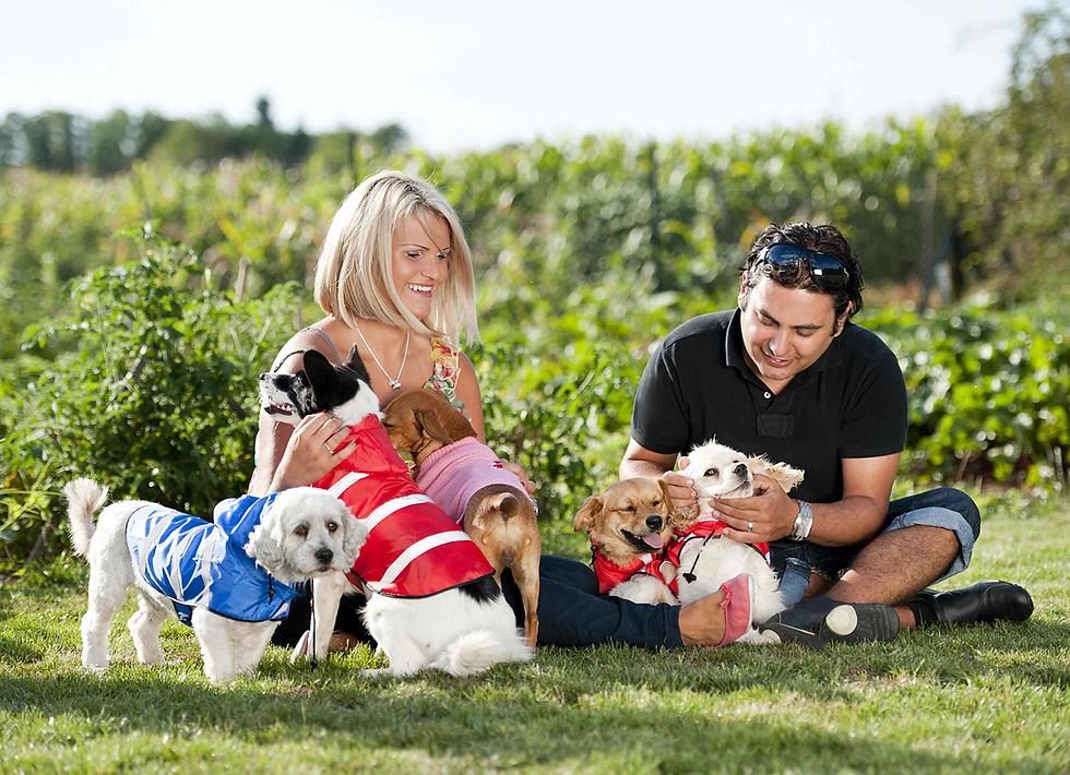 Best Pet Events