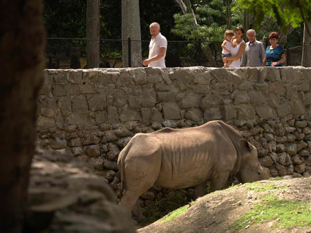 How Tourism Dollars Help Animal Causes