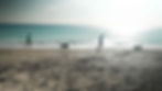 pawesome-places_thepalmbeaches_jupiterdogbeach_5.jpg