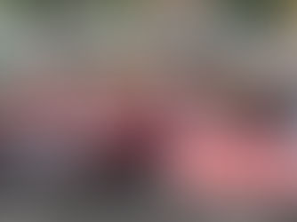 GREVE DA EDUCAÇÃO MUNICIPAL DE BELÉM - CARTA À COMUNIDADE ESCOLAR