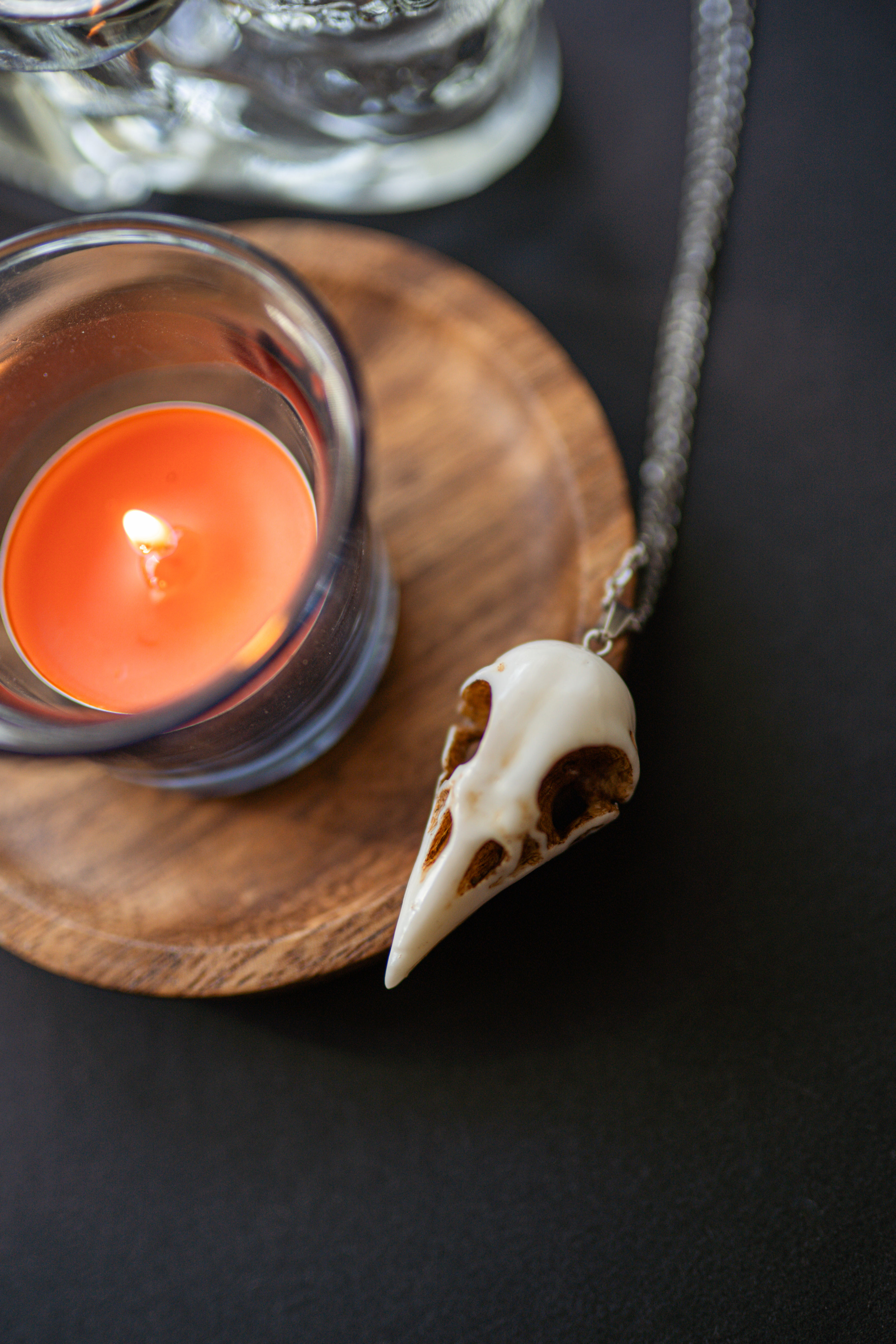 Кулон череп птаха