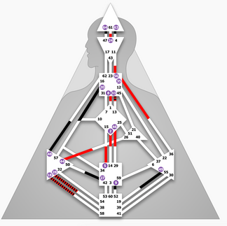 Рефлектор в Хюман Дизайн