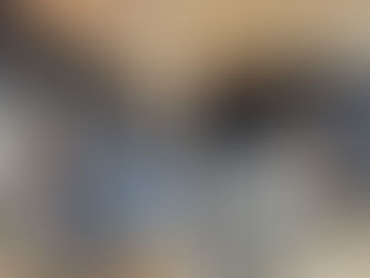 IMAGENS FORTES: Gato é encontrado queimado sobre uma grelha em Santo Ângelo