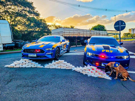 PRF apreende 140 quilos de pasta-base de cocaína em Porto Alegre; droga é avaliada em R$ 16 milhões