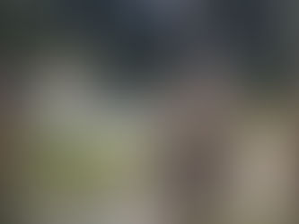 Dois homens são mortos a tiros na Orla do Guaíba, em Porto Alegre; cinco ficaram feridos