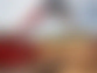 Conab: produção de grãos deve atingir 312 milhões de toneladas