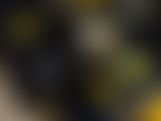 Casal é preso pela PRF com cocaína e crack na BR-290